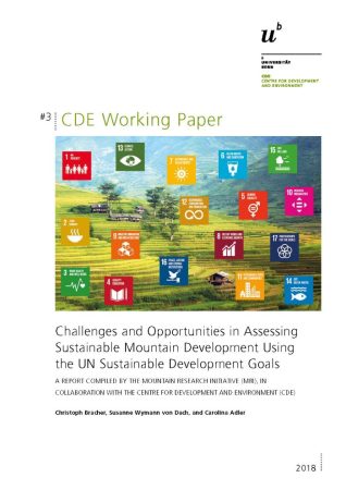 CDE_Working_Paper_Bracher_Wymann_Adler CDE_Working_Paper_Bracher_Wymann_Adler