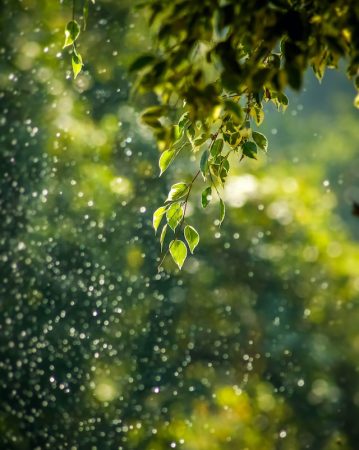 goutham-krishna-h5wvMCdOV3w-unsplash goutham-krishna-h5wvMCdOV3w-unsplash