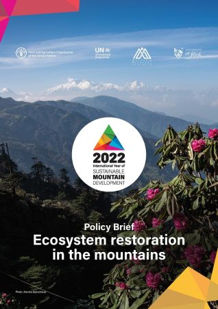 ICIMOD_Ecosystem_Restoration_Policy_Brief ICIMOD_Ecosystem_Restoration_Policy_Brief