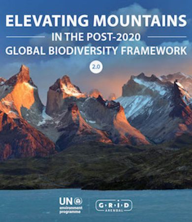 policy-brief-elevating-mountains-in-the-post-2020-framework policy-brief-elevating-mountains-in-the-post-2020-framework