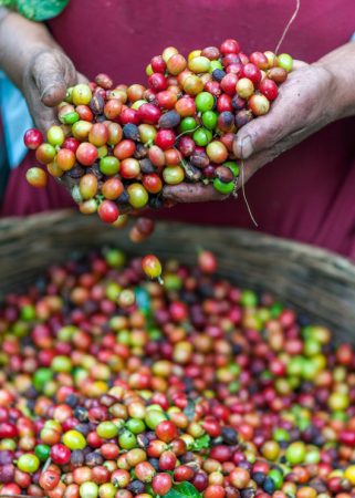 rodrigo-flores-T5qjs-63kqQ-unsplash rodrigo-flores-T5qjs-63kqQ-unsplash