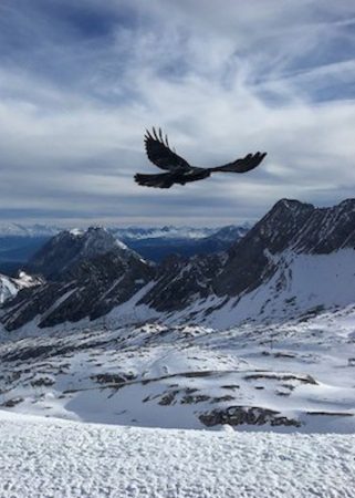 snow-3203999_1280 snow-3203999_1280