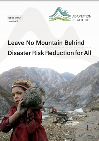 Leave No Mountain Behind_Zoi Leave No Mountain Behind_Zoi