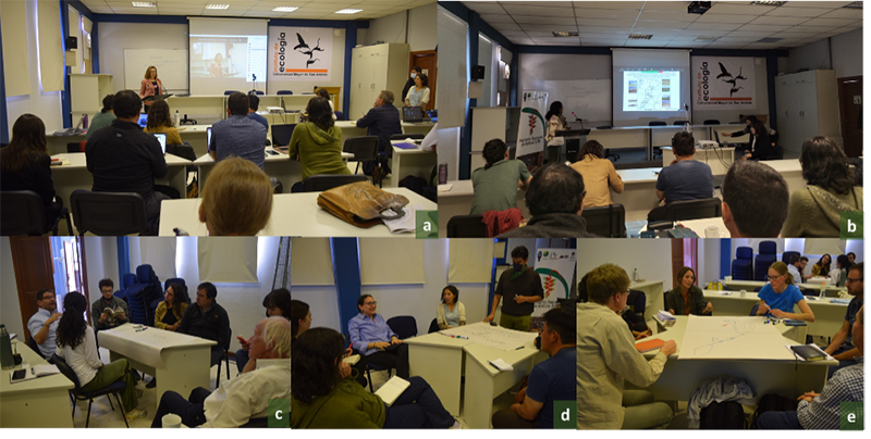 Peatlands Synthesis Workshop Figure1